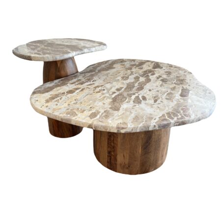 Avi Marble Coffee Table Nest