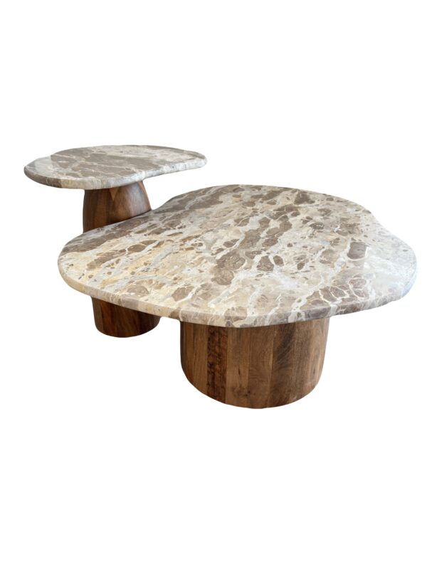 Avi Marble Coffee Table Nest